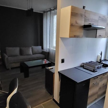 Apartament Pod Wieza Apartment Piotrków Trybunalski Exterior photo